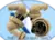 Phích cắm T-1MB